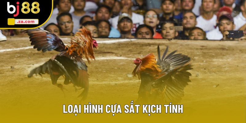 Loại hình cựa sắt kịch tính Loại hình cựa sắt kịch tính